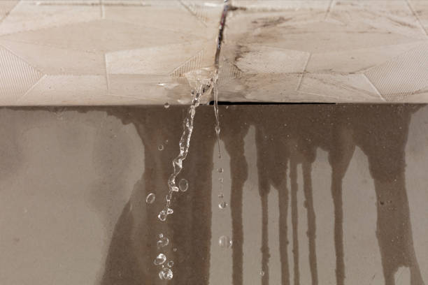 Professional Water Extraction technician working in Kaleva, MI